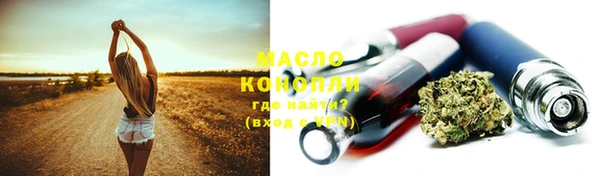 амф Новозыбков