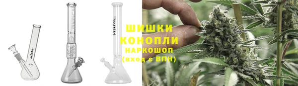 амф Новозыбков
