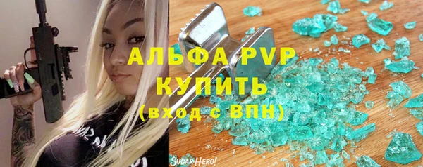 амф Новозыбков
